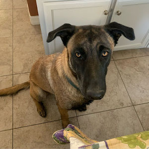 Meet your Posher, Maríposa